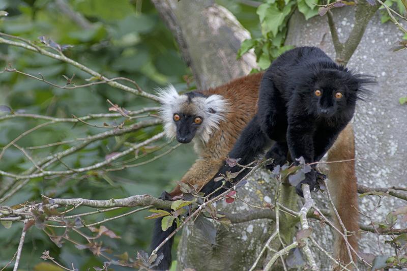 Cjp_2011_08_02_132326 (1).jpg